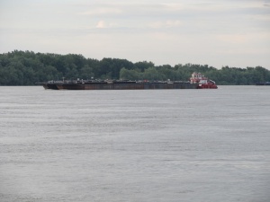 Няма опасност от наводнение в българския участък на Дунав