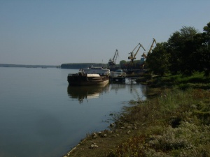 Защитните диги на река Дунав са под непрекъснато наблюдение
