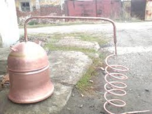 Докато Сърбия се давеше в наводненията, президентът Николич варил ракия