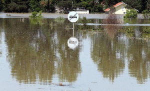 Сърбия иска българските спасители да останат още седмица