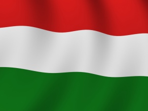 Лидерът на унгарските социалисти се оттегли заради провала на изборите