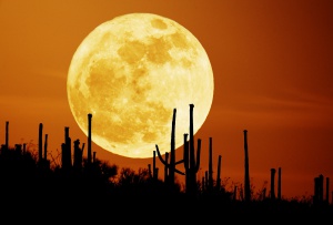 Пълна „медена луна“ съвпадна с петък, 13-и за пръв път от 100 години