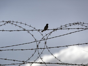 106 души са задържани на българо-турската граница