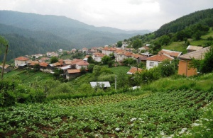 Бедствено положение в няколко общини, днес - отново градушки