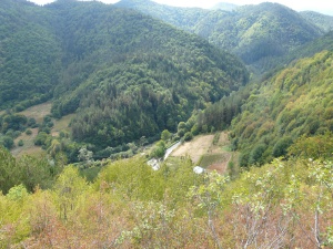 Седмицата започва със слънце, идва дъжд