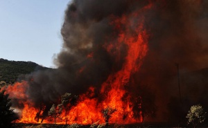 Пожари опустошават Пелопонес