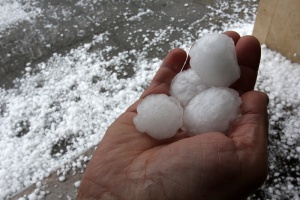 Сериозни щети над реколтата след градушката