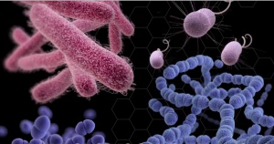 Американски лаборатории допуснали изтичане на проби със смъртоносни бактерии