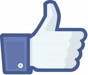 Холандия се отказва от Фейсбук?