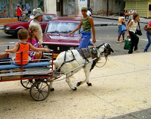 Карантина, затворени пазари и засилен контрол по пътищата заради "син език"