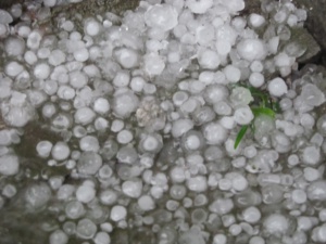 Столична община предупреждава: Опасно метеорологично явление във вторник, не стойте на открито!