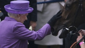 Кобилата на кралицата с положителен допинг тест