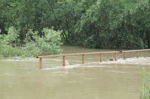 Откриха тялото на изчезналия мъж във Враниловци