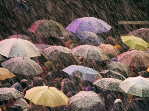 Червен код за дъжд в Сърбия по границата с България