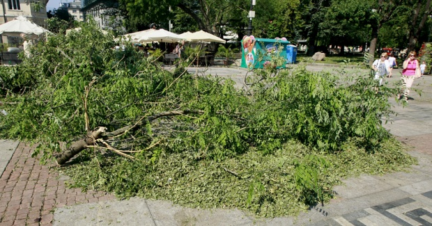 Почистват кварталните улици на София