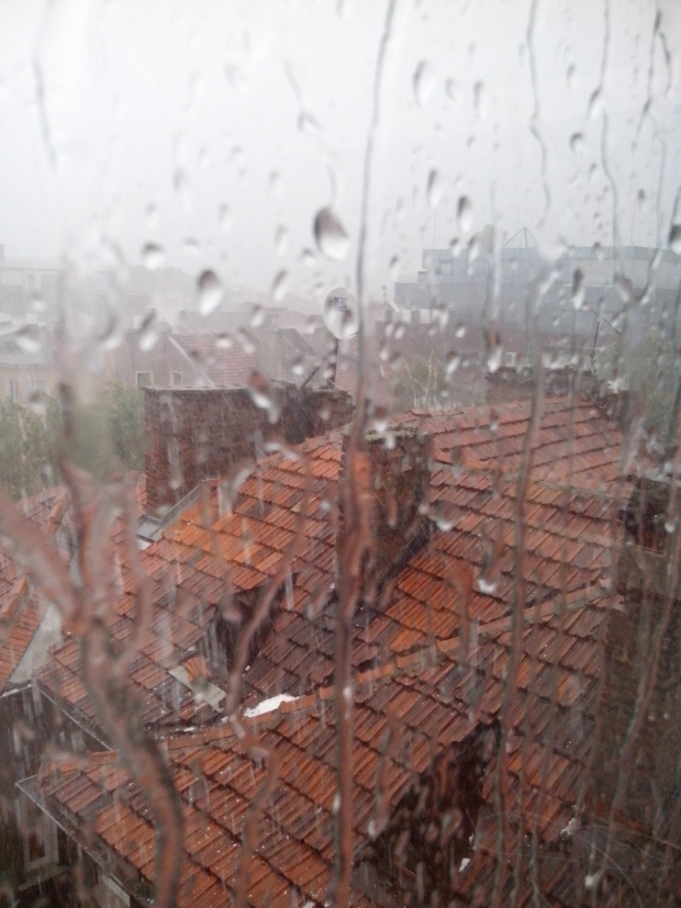 11 населени места в Община Ловеч са без ток, обявено е бедствено положение