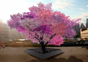 Дърво ще ражда 40 различни плода! (галерия)