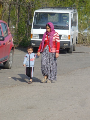 Повече от 4 хил. емигранти търсят убежище в Сърбия