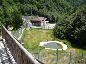 Бриджит Бардо не искала хора в парка за мечки край Белица