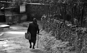 564 села са без население или с едноцифрен брой жители