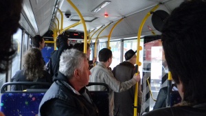 20 екоавтобуса тръгват в София