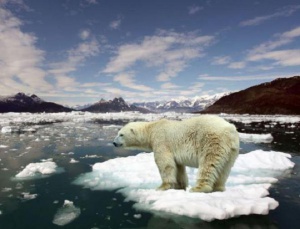 Нов доклад с по-остър тон предупреждава за глобалното затопляне
