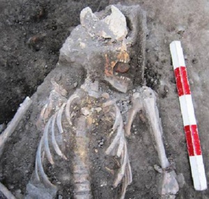 Погребват пловдивския вампир като християнин