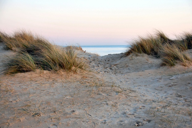 Държавата прикрива посегателствата срещу дюните, смятат еколози