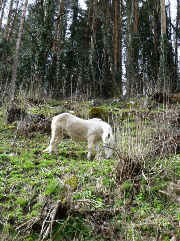 Започна почистването на Рила, включете се!