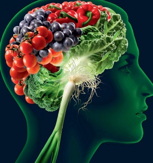 Мозъкът може да бъде обучен да иска здравословна храна