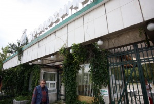 Уволниха шефа на столичния зоопарк, бизоните били отровени