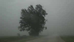 Силна буря остави хиляди американци без ток