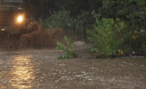 Щетите след наводнена Берковица - между 3 и 4 млн. лева