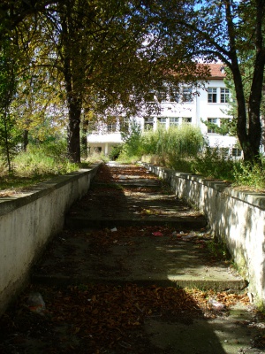 Да откраднеш сърце…