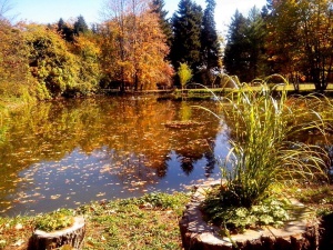 Безплатни музеи утре в Деня на София