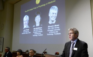 Трима учени взеха Нобелова награда за химия