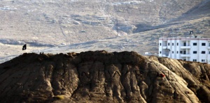 Близо 700 са блокирани в Кобане