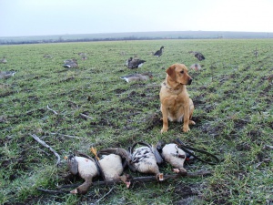 Ловец застреля младеж вместо глиган