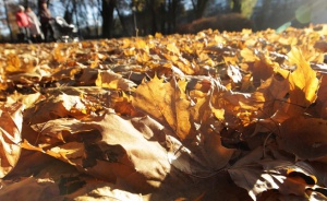 Очаква ни топъл есенен ден