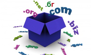 Получихме официално одобрение за домейна БГ