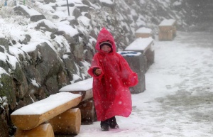 Снежна стихия парализира Австралия