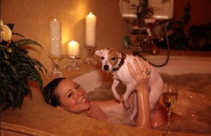 Марая Кери в жесток скандал с бившия си за попечителството на 8 кучета