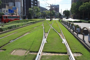 Трамваите тръгват по зелен килим (снимки)