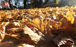 Все още слънчево и топло