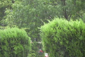 Пампорово и 9 села в Смолянско без ток заради дъжда