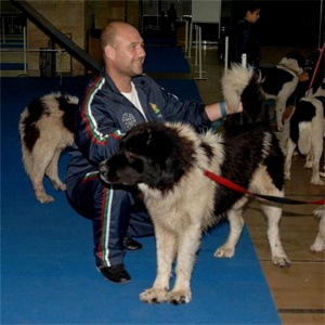 Кучето на Бойко спечели конкурс за красота - отново