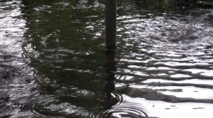 Бедственото положение в община Бургас остава