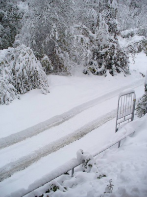 Обстановката в Габровско се нормализира