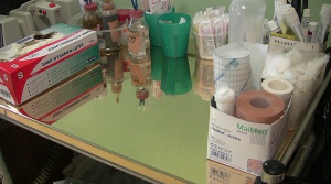 Циганското лято носи нови вируси