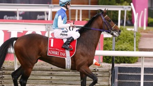 Кон издъхна на състезание в Мелбърн (видео)